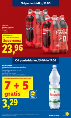 Lidl - gazetka promocyjna Oferta od poniedziałku od poniedziałku 15.06 do środy 17.06 - strona 19
