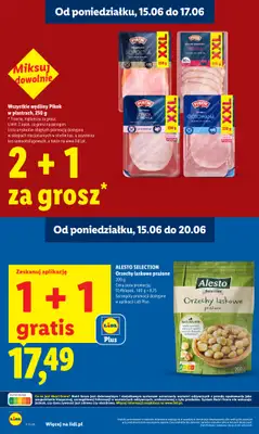 Lidl - gazetka promocyjna Oferta od poniedziałku od poniedziałku 15.06 do środy 17.06 - strona 16