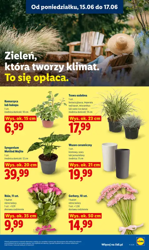Lidl - gazetka promocyjna Oferta od poniedziałku od poniedziałku 15.06 do środy 17.06 - strona 97