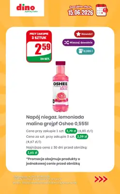 Dino - gazetka promocyjna Specjalna oferta na 15.06.2026 - promocje spoza gazetki od poniedziałku 15.06 do poniedziałku 15.06 - strona 7