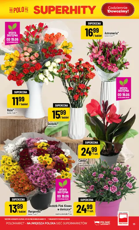 POLOmarket - gazetka promocyjna Gazetka od środy 17.06 do wtorku 23.06 - strona 15