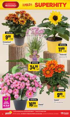 POLOmarket - gazetka promocyjna Gazetka od środy 17.06 do wtorku 23.06 - strona 14
