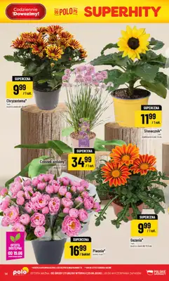 POLOmarket - gazetka promocyjna Gazetka od środy 17.06 do wtorku 23.06 - strona 14