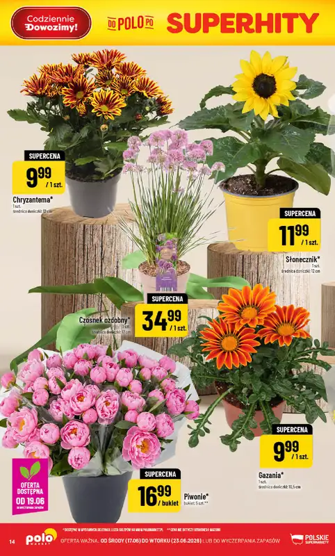 POLOmarket - gazetka promocyjna Gazetka od środy 17.06 do wtorku 23.06 - strona 14