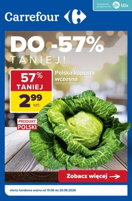 Carrefour - gazetka promocyjna Do -57% TANIEJ! Na pojedyncze produkty od wtorku 16.06 do soboty 20.06