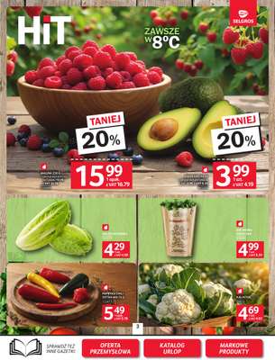Selgros - gazetka promocyjna Oferta spożywcza od czwartku 18.06 do środy 01.07 - strona 3