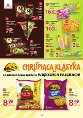 Selgros - gazetka promocyjna Katalog Markowe Produkty od czwartku 18.06 do środy 01.07 - strona 13