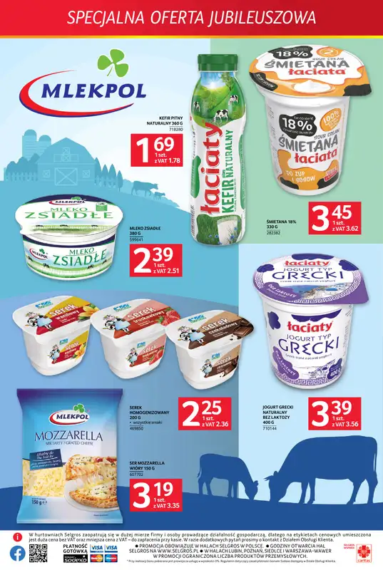 Selgros - gazetka promocyjna Specjalna oferta jubileuszowa od czwartku 18.06 do środy 01.07 - strona 3