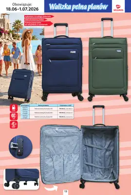 Selgros - gazetka promocyjna Katalog Urlop od czwartku 18.06 do środy 01.07 - strona 13
