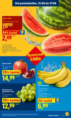 Lidl - gazetka promocyjna Oferta od poniedziałku od poniedziałku 15.06 do środy 17.06 - strona 33