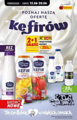Biedronka - gazetka promocyjna Od poniedziałku, Z ladą tradycyjną od poniedziałku 15.06 do soboty 20.06 - strona 48