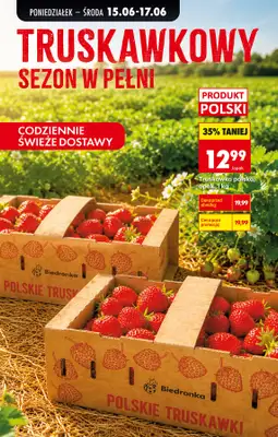 Biedronka - gazetka promocyjna Od poniedziałku od poniedziałku 15.06 do soboty 20.06 - strona 33