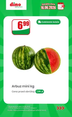 Dino - gazetka promocyjna Specjalna oferta na 16.06.2026 - promocje spoza gazetki od wtorku 16.06 do wtorku 16.06 - strona 3