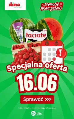 Dino - gazetka promocyjna Specjalna oferta na 16.06.2026 - promocje spoza gazetki od wtorku 16.06 do wtorku 16.06
