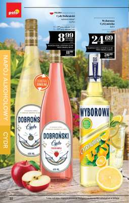 POLOmarket - gazetka promocyjna Katalog alkoholi  do środy 01.07 - strona 22