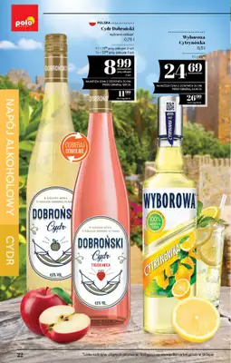 POLOmarket - gazetka promocyjna Katalog alkoholi  do środy 01.07 - strona 22