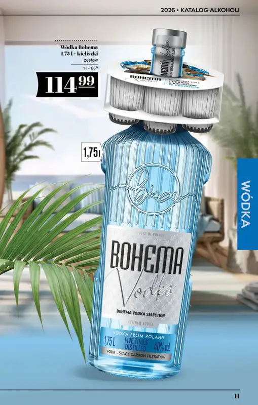 POLOmarket - gazetka promocyjna Katalog alkoholi  do środy 01.07 - strona 11