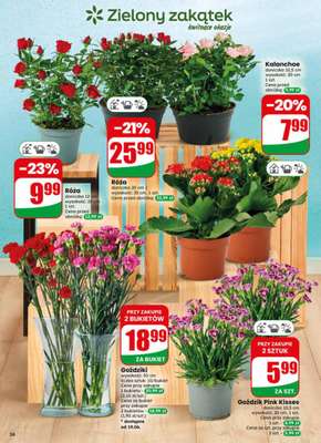 Dino - gazetka promocyjna Gazetka 25 / 2026 od środy 17.06 do wtorku 23.06 - strona 56