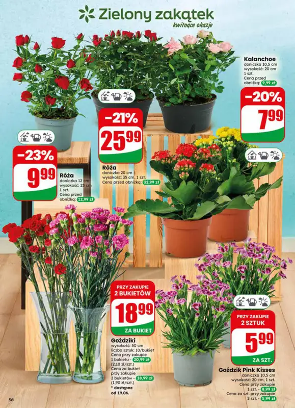 Dino - gazetka promocyjna Gazetka 25 / 2026 od środy 17.06 do wtorku 23.06 - strona 56