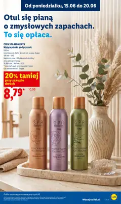 Lidl - gazetka promocyjna Oferta od czwartku od czwartku 18.06 do soboty 20.06 - strona 81