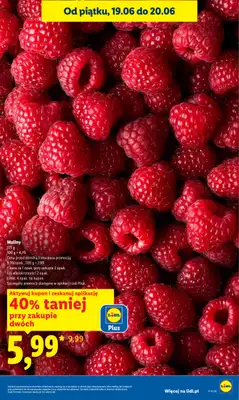 Lidl - gazetka promocyjna Oferta od czwartku od czwartku 18.06 do soboty 20.06 - strona 5