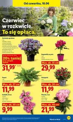 Lidl - gazetka promocyjna Oferta od czwartku od czwartku 18.06 do soboty 20.06 - strona 79