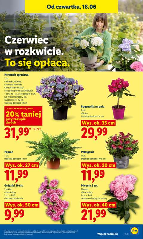Lidl - gazetka promocyjna Oferta od czwartku od czwartku 18.06 do soboty 20.06 - strona 79