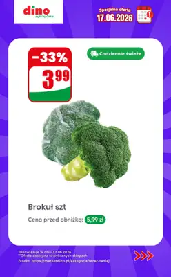 Dino - gazetka promocyjna Specjalna oferta na 17.06.2026 - promocje spoza gazetki od środy 17.06 do środy 17.06 - strona 2