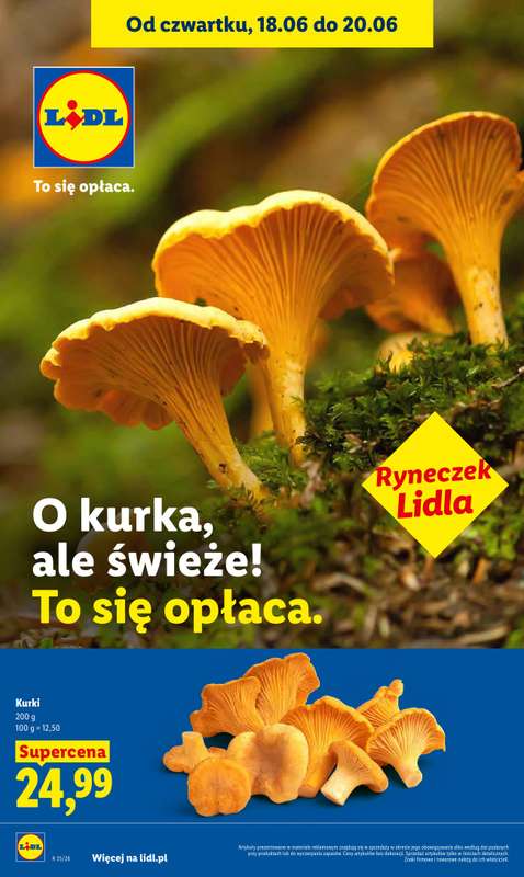 Lidl - gazetka promocyjna Oferta od czwartku od czwartku 18.06 do soboty 20.06 - strona 38