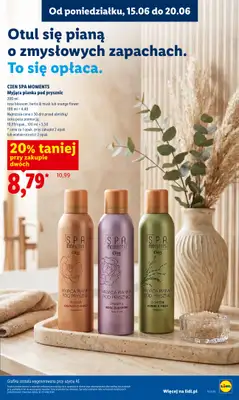 Lidl - gazetka promocyjna Oferta od czwartku od czwartku 18.06 do soboty 20.06 - strona 81