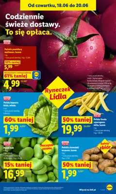 Lidl - gazetka promocyjna Oferta od czwartku od czwartku 18.06 do soboty 20.06 - strona 37