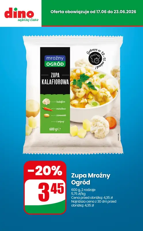 Dino - gazetka promocyjna Nawet do -50% TANIEJ od czwartku 18.06 do wtorku 23.06 - strona 10