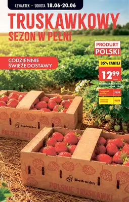 Biedronka - gazetka promocyjna Od czwartku od czwartku 18.06 do środy 24.06 - strona 66