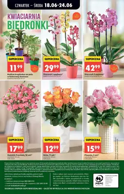 Biedronka - gazetka promocyjna Od czwartku od czwartku 18.06 do środy 24.06 - strona 64