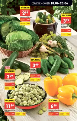 Biedronka - gazetka promocyjna Od czwartku od czwartku 18.06 do środy 24.06 - strona 25