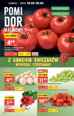 Biedronka - gazetka promocyjna Od czwartku od czwartku 18.06 do środy 24.06 - strona 22