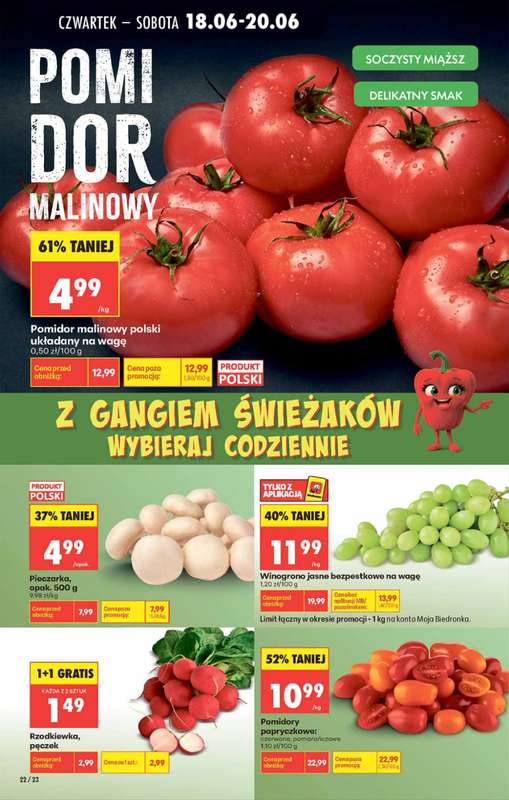 Biedronka - gazetka promocyjna Od czwartku od czwartku 18.06 do środy 24.06 - strona 22