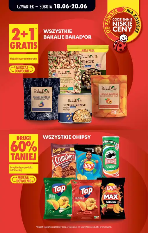 Biedronka - gazetka promocyjna Od czwartku od czwartku 18.06 do środy 24.06 - strona 13