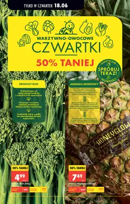 Biedronka - gazetka promocyjna Od czwartku od czwartku 18.06 do środy 24.06 - strona 93