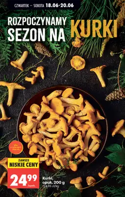 Biedronka - gazetka promocyjna Od czwartku, Z ladą tradycyjną od czwartku 18.06 do środy 24.06 - strona 37