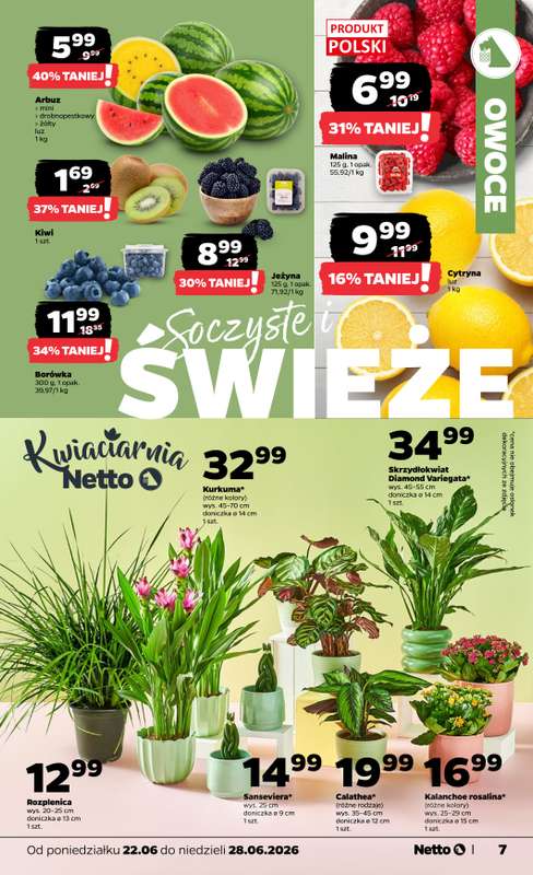Netto - gazetka promocyjna Gazetka Spożywcza od poniedziałku 22.06 do niedzieli 28.06 - strona 7