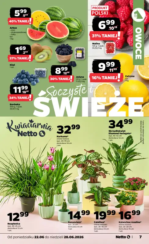 Netto - gazetka promocyjna Gazetka Spożywcza od poniedziałku 22.06 do niedzieli 28.06 - strona 7