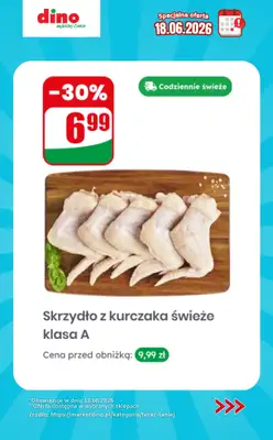 Dino - gazetka promocyjna Specjalna oferta na 18.06.2026 - promocje spoza gazetki od czwartku 18.06 do czwartku 18.06 - strona 6