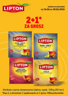 Makro - gazetka promocyjna Ulotka Lipton od czwartku 18.06 do wtorku 30.06