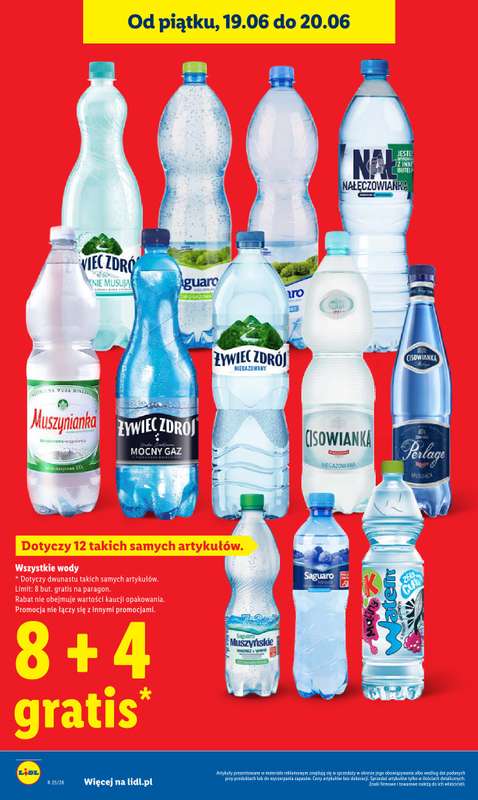 Lidl - gazetka promocyjna Oferta od czwartku od czwartku 18.06 do soboty 20.06 - strona 10
