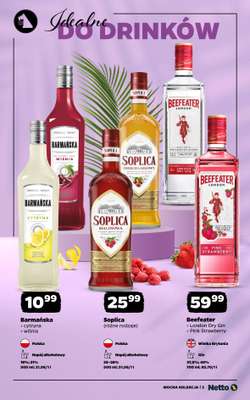 Netto - gazetka promocyjna Mocna Kolekcja - Mocne Alkohole  do soboty 04.07 - strona 3