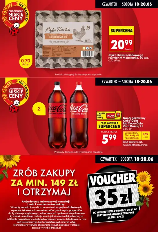 Biedronka - gazetka promocyjna Biedronkowe oszczędności   - strona 2