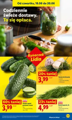 Lidl - gazetka promocyjna Oferta od czwartku od czwartku 18.06 do soboty 20.06 - strona 41