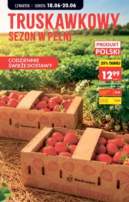 Biedronka - gazetka promocyjna Od czwartku od czwartku 18.06 do środy 24.06 - strona 38