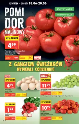 Biedronka - gazetka promocyjna Od czwartku od czwartku 18.06 do środy 24.06 - strona 34